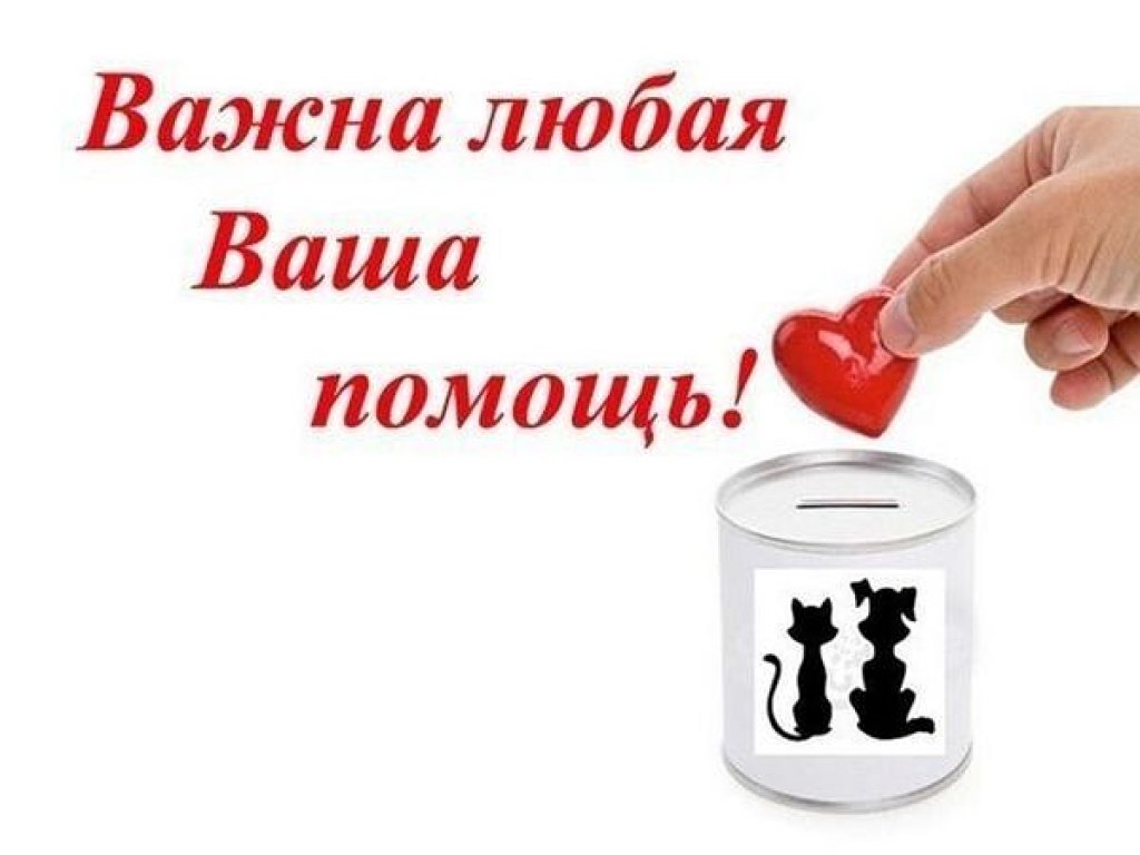 »: проститутки индивидуалки в Омске