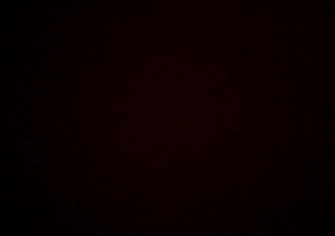 София: проститутки индивидуалки в Омске