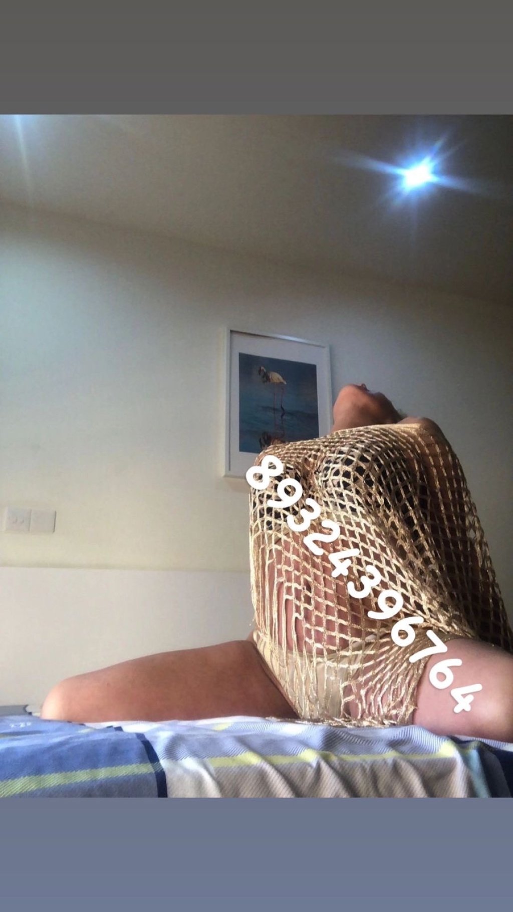 Veronika Экспресс : проститутки индивидуалки в Омске